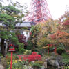 東京芝とうふ屋うかいの日本庭園